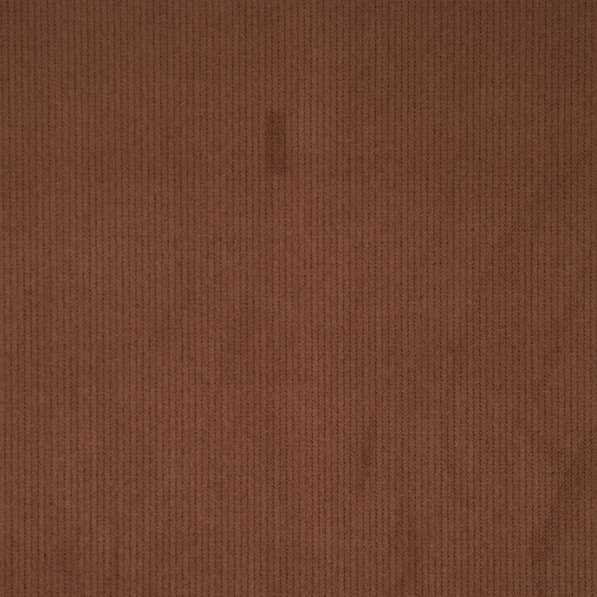 Feather Walnut by RM CoCo Fabric Dream Weaver 100% Polyester See Sample 0 Horizontal: 0 and Vertical: 0 58 - Fabric Carolina -