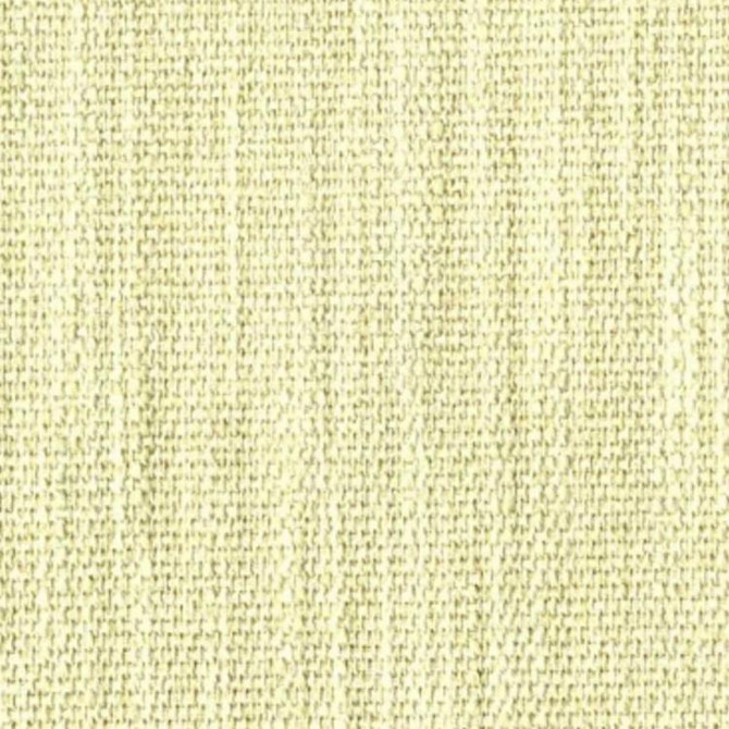 Alley Oop Coconut by RM CoCo Fabric Color My World - Wind 79% RAYON 21% POLYESTER Horizontal: 0 and Vertical: 0 57 - Fabric Carolina -