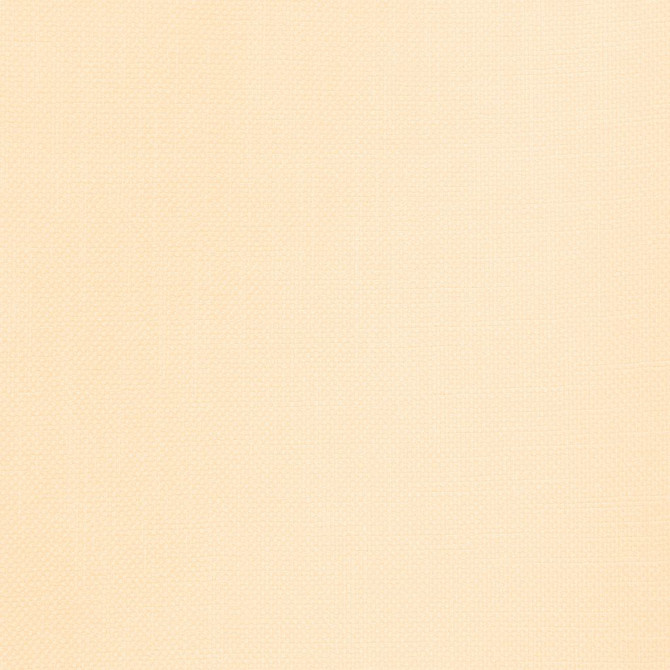 Smart Move Sunshine by RM CoCo Fabric Smart Move II 100% Polyester See Sample 50000 Horizontal: 0 and Vertical: 0 55 - Fabric Carolina -