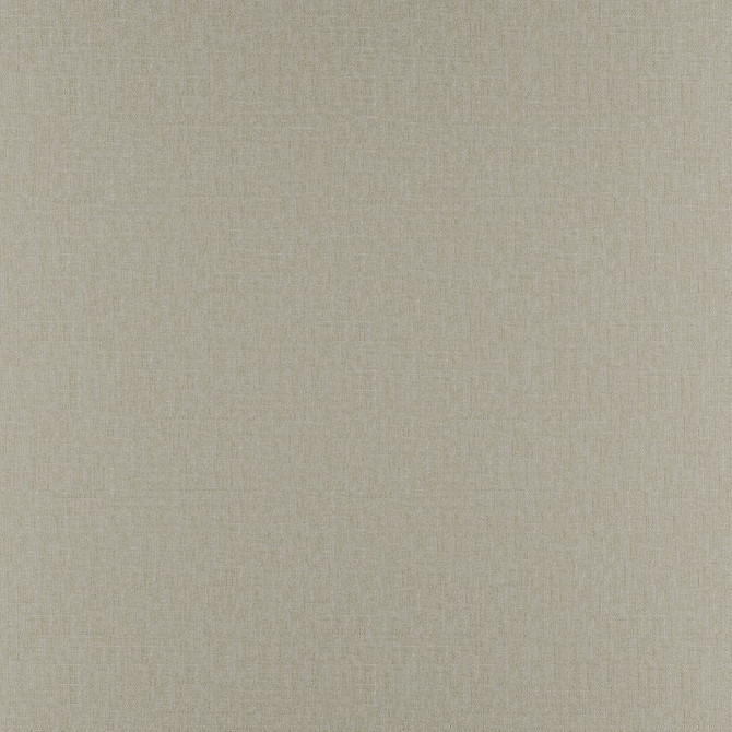 Prelude Mushroom by RM CoCo Fabric Prelude 100% Polyester See Sample 30000 Horizontal: 0 and Vertical: 0 57 - Fabric Carolina -