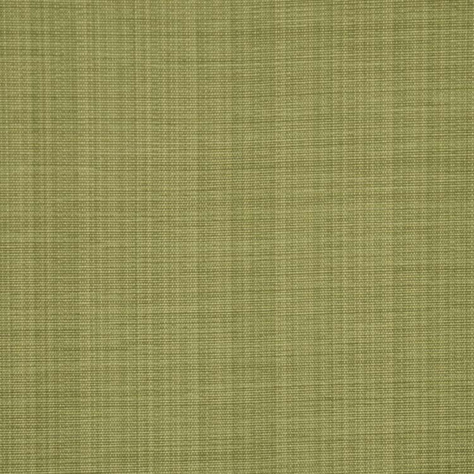 Bradford Grass by RM CoCo Fabric Bradford 80% Polyester 20% Cotton 15000 Horizontal: 0 and Vertical: 0 54 - Fabric Carolina -