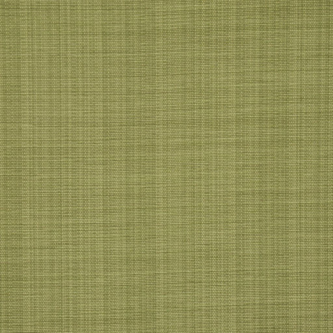 Bradford Grass by RM CoCo Fabric Bradford 80% Polyester 20% Cotton See Sample 20000 Horizontal: 0 and Vertical: 0 54 - Fabric Carolina -