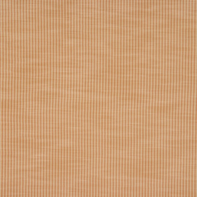 Hawk Kumquat by RM CoCo Fabric Menagerie 42% Cotton 36% Rayon 22% Polyester See Sample 0 Horizontal: 0.3 and Vertical: 0 54 - Fabric Carolina -