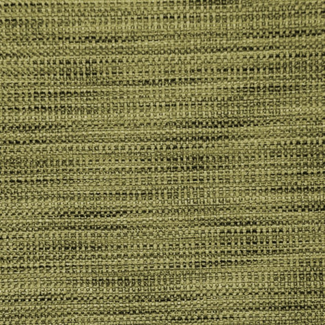 It Matters Boxwood by RM CoCo Fabric Shape It Up - Wesco 100% Polyester See Sample 0 Horizontal: 0 and Vertical: 0 56 - Fabric Carolina -