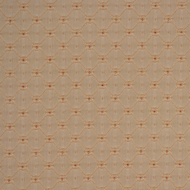 W250 1903 by RM CoCo Fabric Peak Performance 100% Acrylic 12000 Horizontal: 1.125 and Vertical: 1.25 54 - Fabric Carolina -