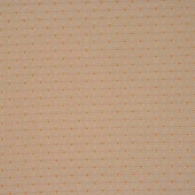 W250 1903 by RM CoCo Fabric Peak Performance 100% Acrylic See Sample 0 Horizontal: 1.125 and Vertical: 1.25 54 - Fabric Carolina -