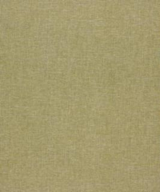 Stamitz 12104 M10366 by Barrow Fabric 1907 75% POLYESTER
20% RAYON
5% ACRYLIC CHINA 15,000 DOUBLE RUBS </p><p>Repeat: Horizontal: and Vertical: 54" Minimum - Fabric Carolina -