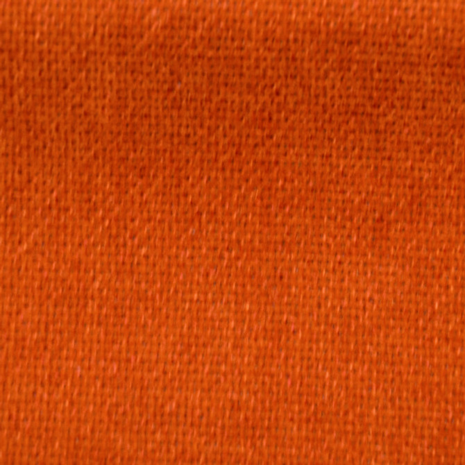 Cuddle - Cinnamon by Europatex Fabric Cuddle 100% Polyester China See Sample Horizontal: N/A and Vertical: N/A 54.00 inches  - Fabric Carolina -