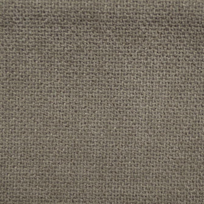 Cuddle - Earth by Europatex Fabric Cuddle 100% Polyester China See Sample Horizontal: N/A and Vertical: N/A 54.00 inches  - Fabric Carolina -