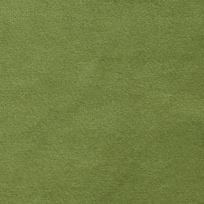 Plush 15 by Europatex Fabric Plush 100% Polyester 0.00" 55.00 inches - Fabric Carolina -