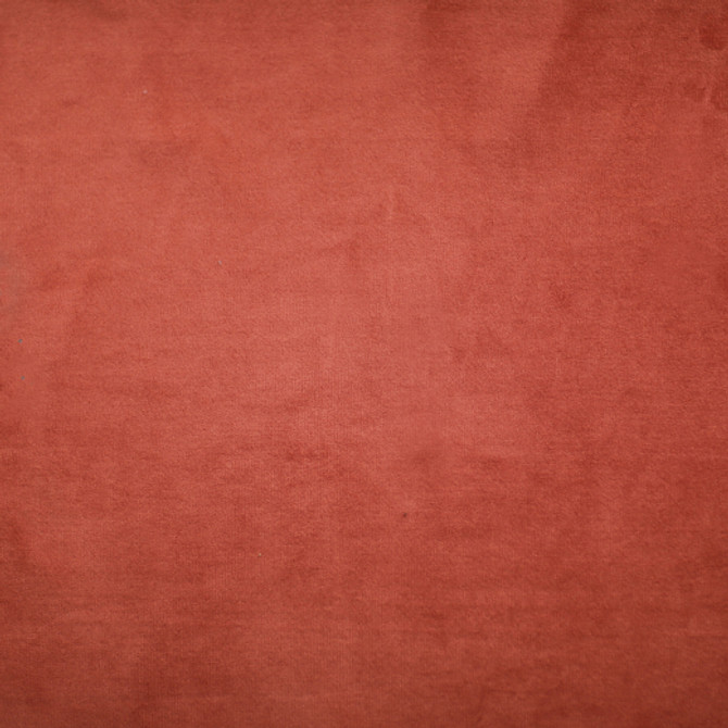 Plush - 30 by Europatex Fabric Plush 100% Polyester China See Sample Horizontal: N/A and Vertical: N/A 55.00 inches  - Fabric Carolina -