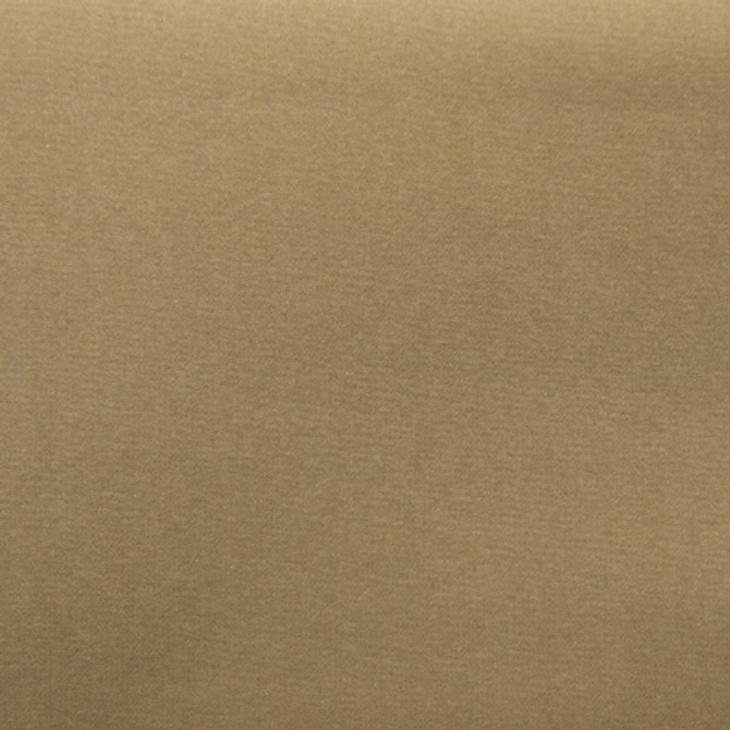 Sahara - Sandstone by Europatex Fabric Sahara 100% Polyester China See Sample Horizontal: N/A and Vertical: N/A 57.00 inches  - Fabric Carolina -