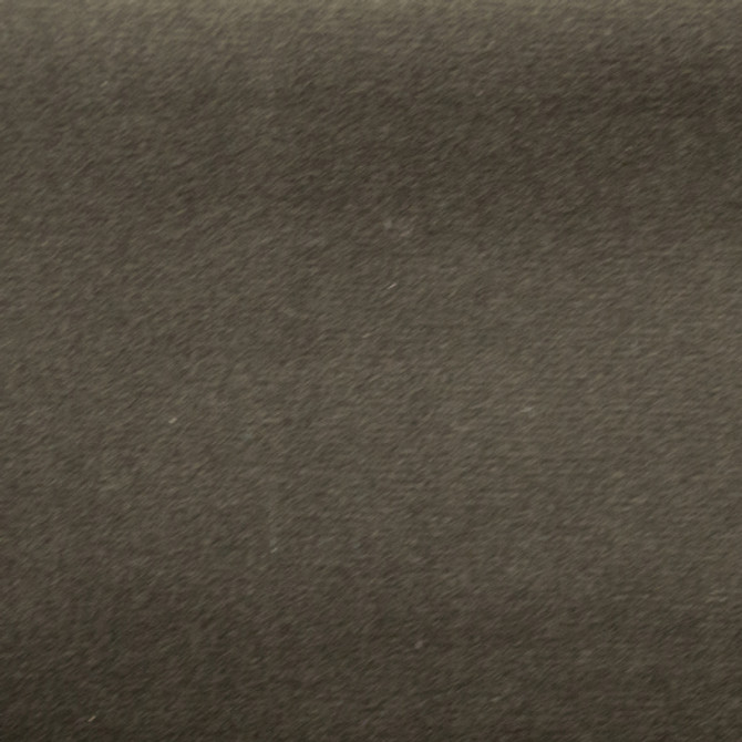 Sahara - Woodland by Europatex Fabric Sahara 100% Polyester China See Sample Horizontal: N/A and Vertical: N/A 57.00 inches  - Fabric Carolina -