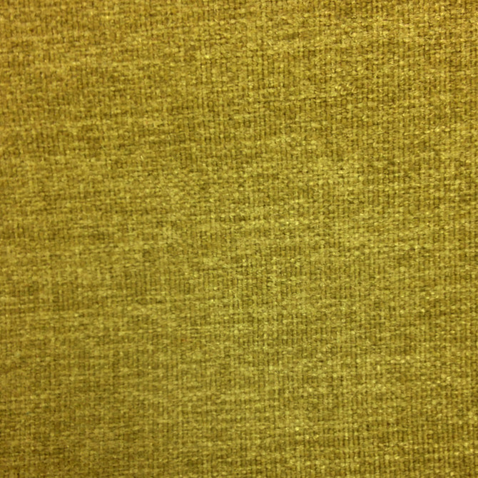 Studio Grass by Europatex Fabric Studio 100% Polyester 0.00" 55.00 inches - Fabric Carolina -