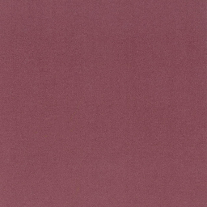Grace 35 Quartz by Stout Fabric Stout Fabric Grace 35 QuartzFabric ENCORE CHINA </p><p>Repeat: H: 0.000, V: 0.000 55 in - Fabric Carolina -