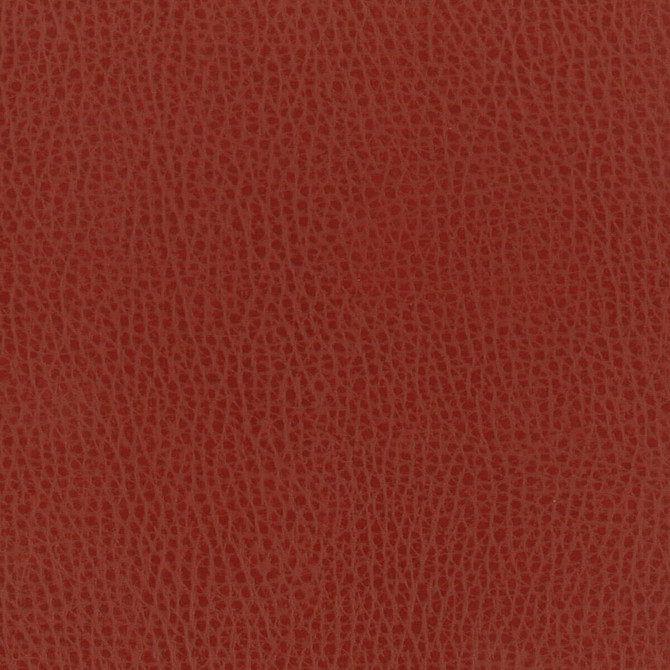 Madden 1 Spice by Stout Fabric LEATHER LOOKS II 100%OTH 9%OTH CHINA FLAME RETARDANT-U.F.A.C. CLASS 1 FLAME RETARDANT-N.F.P.A. 260A CLASS 1 CATB 117-2013 WYZENBEEK 100 000 DOUBLE RUB WEAR TEST (HEAVY DUTY) Horizontal: 0 and Vertical: 0 54 in - Fabric Carolina -