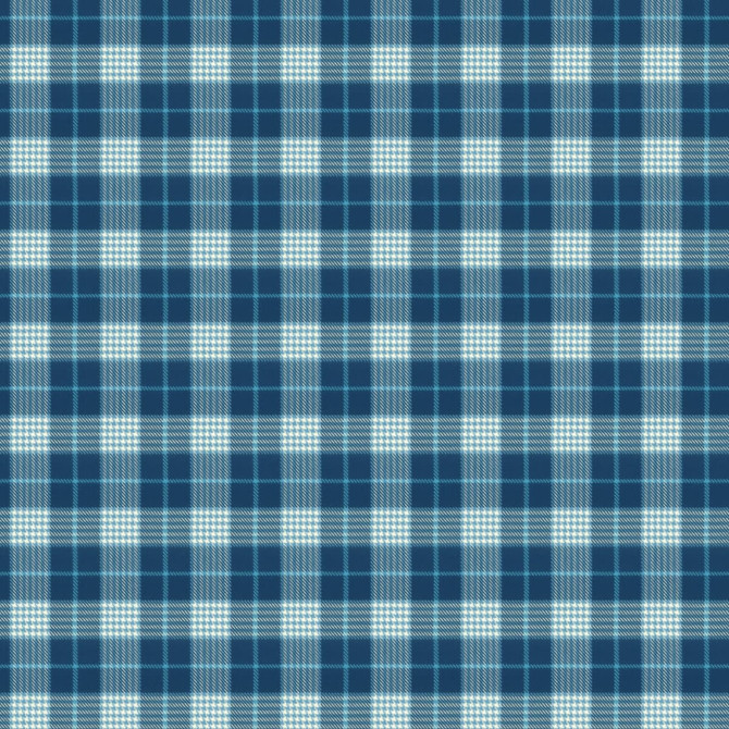 Pipestone 3 Blueberry by Stout Fabric RAINBOW LIBRARY PORCELAIN/ROYAL 100%COT INDIA WYZENBEEK 30 000 DOUBLE RUB WEAR TEST (HEAVY DUTY) Horizontal: 4.625 and Vertical: 4.625 54 in - Fabric Carolina -