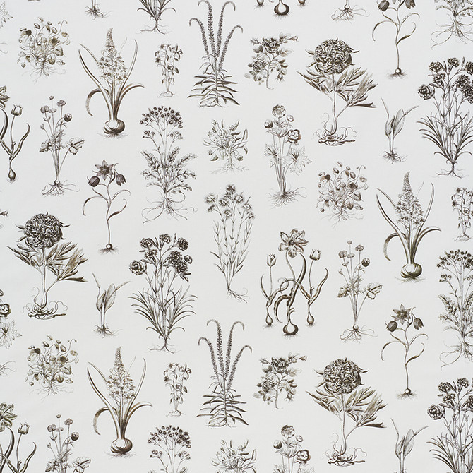 Cabot Botanical Ivory 178751 by Schumacher Fabric SCHUMACHER CLASSICS COTTON 100% UNITED KINGDOM </p><p>Repeat: Horizontal: 53 3/4" (137CM) and Vertical: 29 7/8" (56CM) 55.5 - Fabric Carolina -