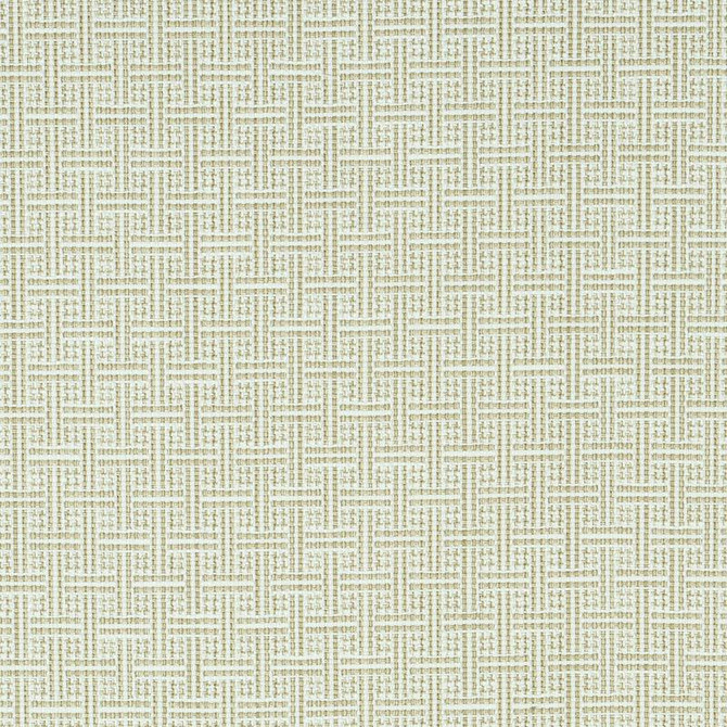 Brickell Indoor/Outdoor Neutral 75937 by Schumacher Fabric Indoor/Outdoor: Prints & Wovens 1.0" - Fabric Carolina -