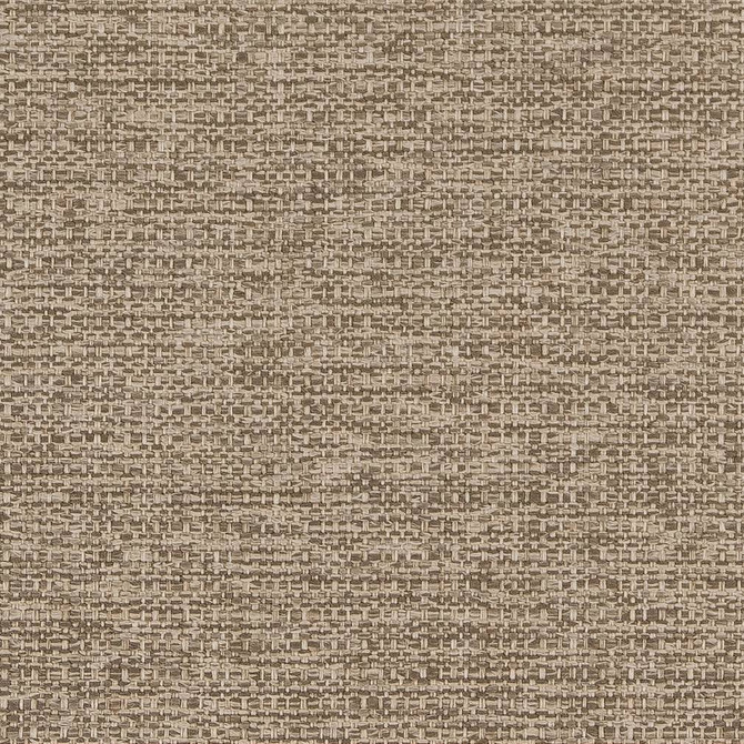 D1598 Taupe by Charlotte Fabric Eco Plains 100% Polypropylene Made In USA Exceeds 60,000 Wyzenbeek Rubs (Heavy Duty) </p><p>Repeat: No Repeat 54 Inches - Fabric Carolina -