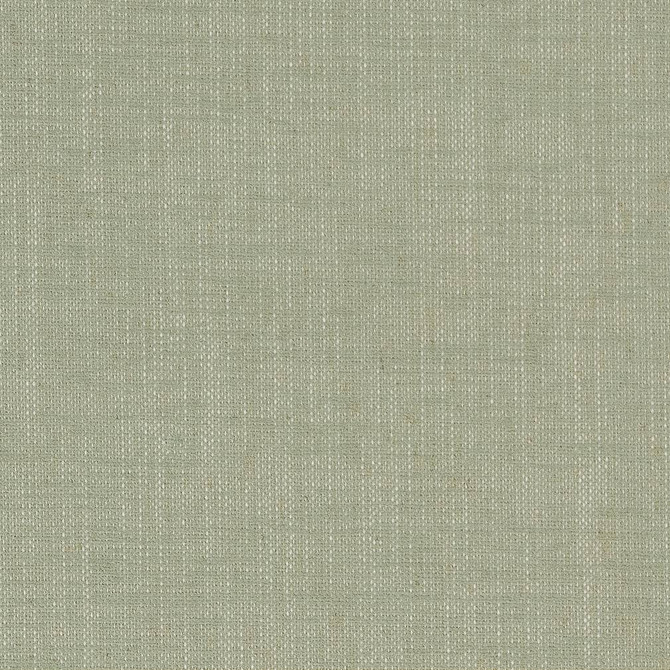 D1701 Spring by Charlotte Fabric Crypton III 92% Polyester, 8% Linen Asia Exceeds 200,000 Wyzenbeek Rubs (Heavy Duty) </p><p>Repeat: No Repeat 54 Inches - Fabric Carolina -