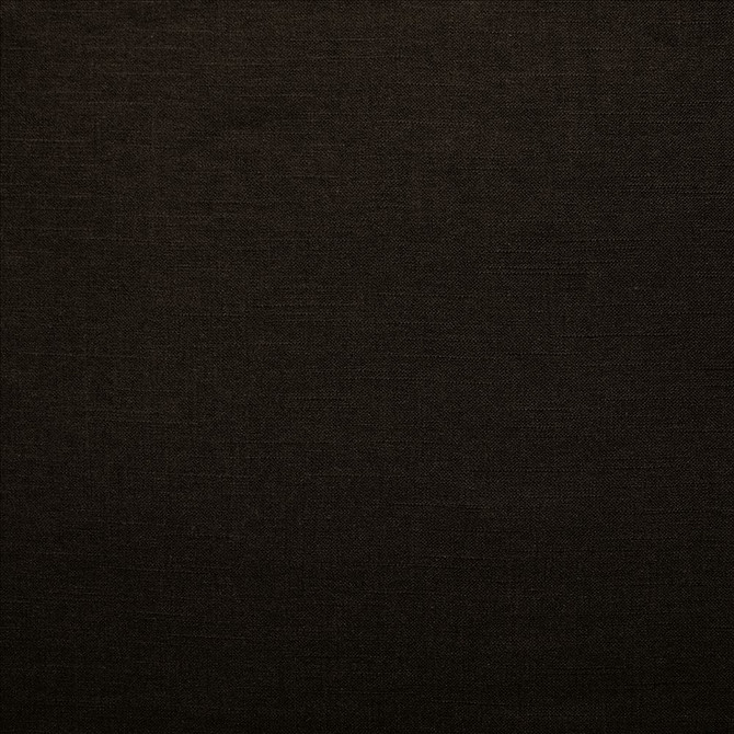 Brandenburg Black by Kasmir Fabric 5178 55% Linen
45% Viscose
 CHINA </p><p>Repeat: Horizontal: N/A and Vertical: N/A 54 - Fabric Carolina -
