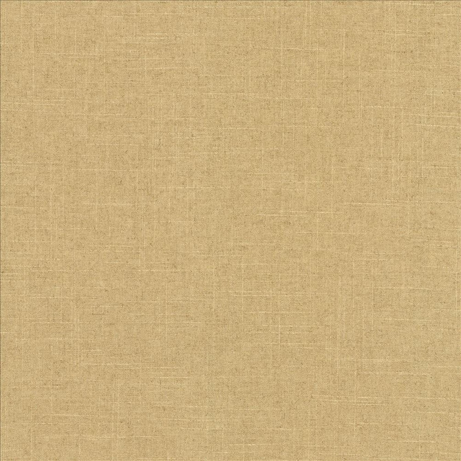 Brigadoon Plantain by Kasmir Fabric 5175 55% Linen
45% Rayon
 CHINA </p><p>Repeat: Horizontal: N/A and Vertical: N/A 54 - 55 - Fabric Carolina -