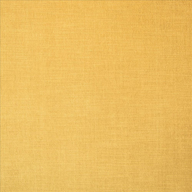 Evermore Honey by Kasmir Fabric 5179 100% Polyester
 INDIA 60,000 Wyzenbeek Double Rubs </p><p>Repeat: Horizontal: N/A and Vertical: N/A 54 - Fabric Carolina -