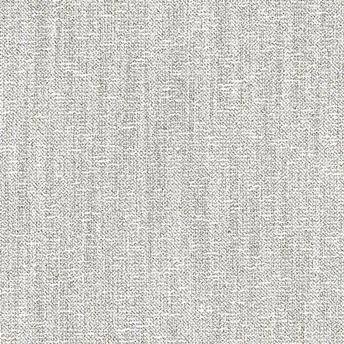 Haiku Weave/Flint 27240-003 by Scalamandre Fabric PACIFICA 55% COTTON 30% VISCOSE 12% POLYESTER 3% LINEN ITALY MEDIUM DUTY Horizontal: 0" and Vertical: 0" 55.75" - Fabric Carolina -
