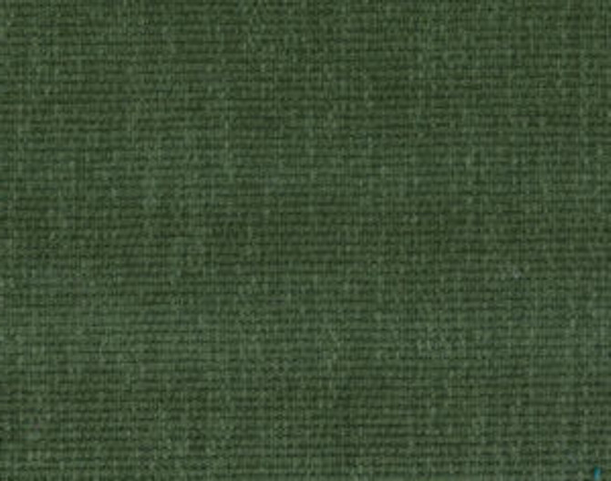 Bowie Pesto 343 by Norbar Fabric BOWIE 45% POLYESTER 37% VISCOSE INDIA 51,000 WYZENBEEK 54" - Fabric Carolina -