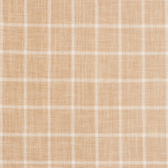 Mondovi Midas by Norbar Fabric CARACAS 72% POLYESTER 23% COTTON INDIA 2 1/2"V 2 1/4"H 55 - Fabric Carolina -