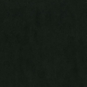 Capital Raven 909 by Norbar Fabric EPIC 100% PVC CHINA 55 - Fabric Carolina -