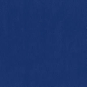 Capital Royal 35 by Norbar Fabric EPIC 100% PVC CHINA 55 - Fabric Carolina -