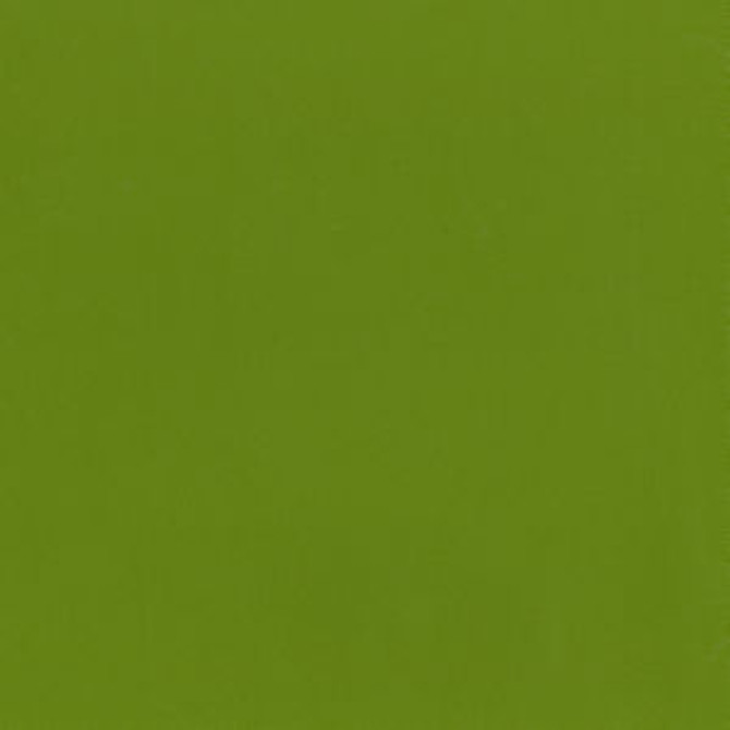 Capital Spring 205 by Norbar Fabric EPIC 100% PVC CHINA 55 - Fabric Carolina -