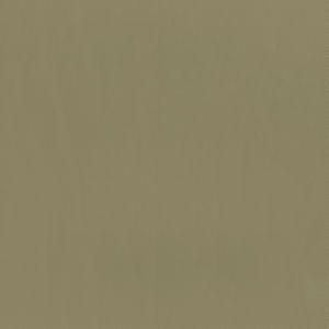 Capital Taupe 609 by Norbar Fabric EPIC 100% PVC CHINA 55 - Fabric Carolina -