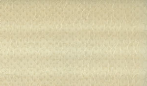 Pappis Gold by Norbar Fabric EUREKA 55% POLY VINYL CHLORIDE CHINA 55 - Fabric Carolina -
