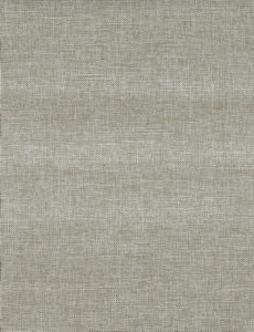 Regis Feather Gray 5 by Norbar Fabric 100% POLYESTER TURKEY 59 - Fabric Carolina -