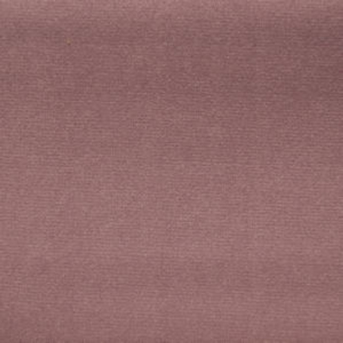 Sonic Heather by Norbar Fabric SONIC 100% POLYESTER CHINA 57 - Fabric Carolina -