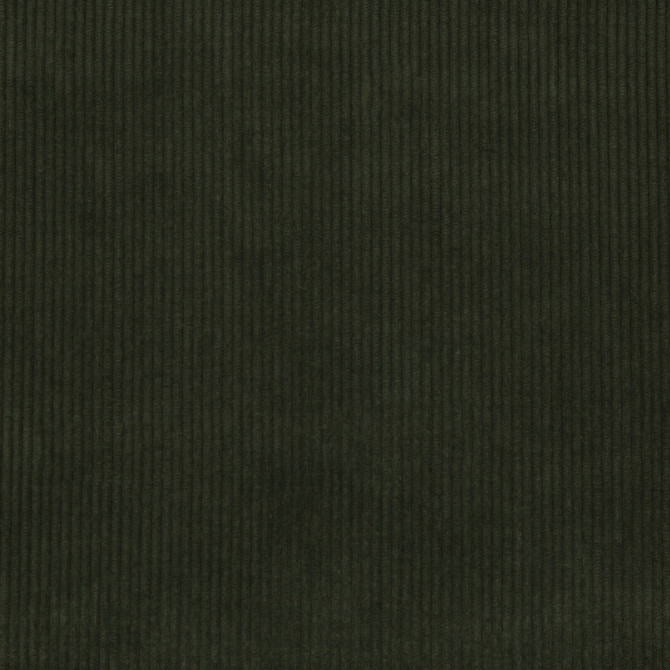 Saranac Cord Loden by Lee Jofa Fabric - COTTON - 100% Slovenia HEAVY Horizontal: 0 and Vertical: 0 53 - Fabric Carolina -