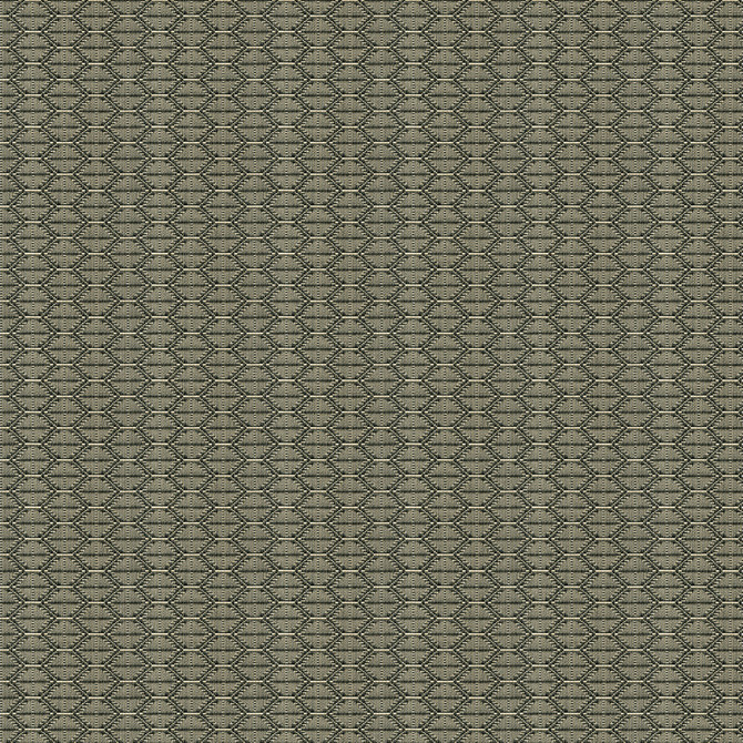 Nzuri Thunder by Kravet Contract Fabric TANZANIA J BANKS COLLECTION COTTON - 100% United States HEAVY Horizontal: 2.5 and Vertical: 1 59.5 - Fabric Carolina -