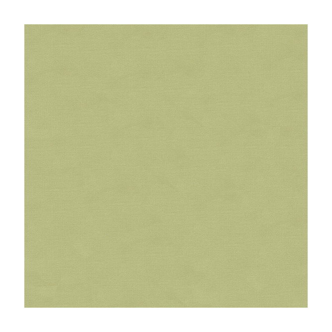 33886-1110 by Kravet Couture Fabric COTTON - 61%;SILK - 39% India Horizontal: and Vertical: 55 - Fabric Carolina -