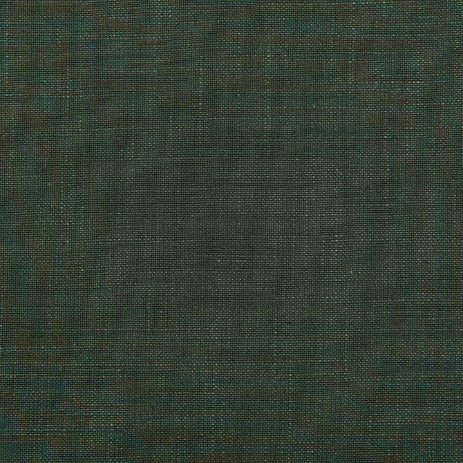 Aura Fern by Kravet Design Fabric VISCOSE - 67%;LINEN - 33% Italy HEAVY Horizontal: 0 and Vertical: 0 55.12 - Fabric Carolina -