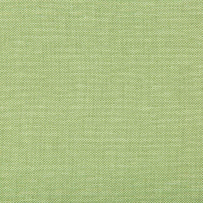 Oxfordian Leaf by Kravet Basics Fabric BERMUDA COTTON - 77%;POLYESTER - 23% India MEDIUM Horizontal: and Vertical: 54 - Fabric Carolina -
