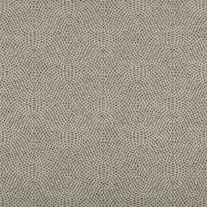 35699-11 by Kravet Design Fabric POLYESTER - 100% India HEAVY Horizontal: 4.5 and Vertical: 4.5 55.5 - Fabric Carolina -