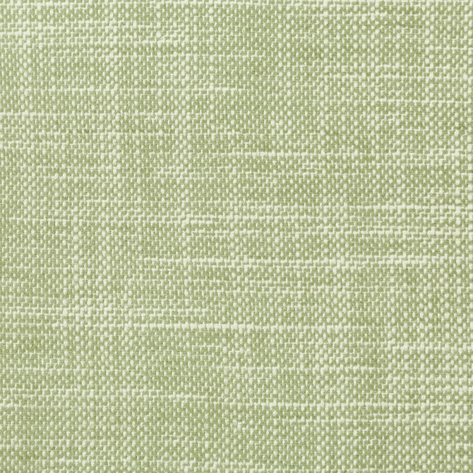 Okanda Leaf by Kravet Smart Fabric PERFORMANCE KRAVETARMOR COTTON - 54%;POLYESTER - 46% India HEAVY Horizontal: - and Vertical: - 54 - Fabric Carolina -