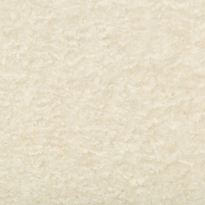 Curly Ivory by Kravet Basics Fabric BARBARA BARRY HOME MIDSUMMER POLYESTER - 100% China HEAVY Horizontal: 0 and Vertical: 0 54 - Fabric Carolina -
