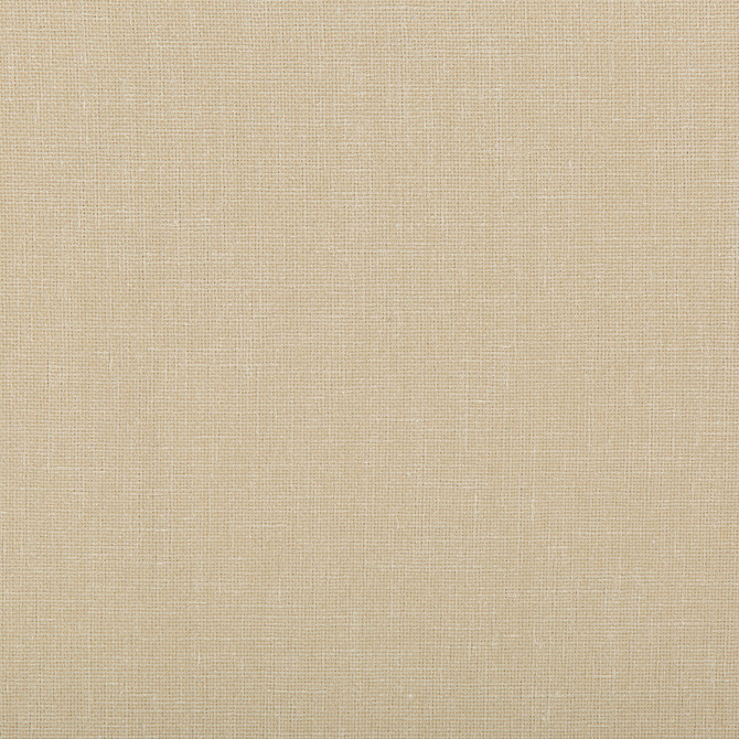 Kravet Contract 4644-1 by Kravet Contract Fabric Kravet Contract Fabric Kravet Contract 4644-1Fabric POLYESTER - 100% India </p><p>Repeat: H: , V: 54 - Fabric Carolina -