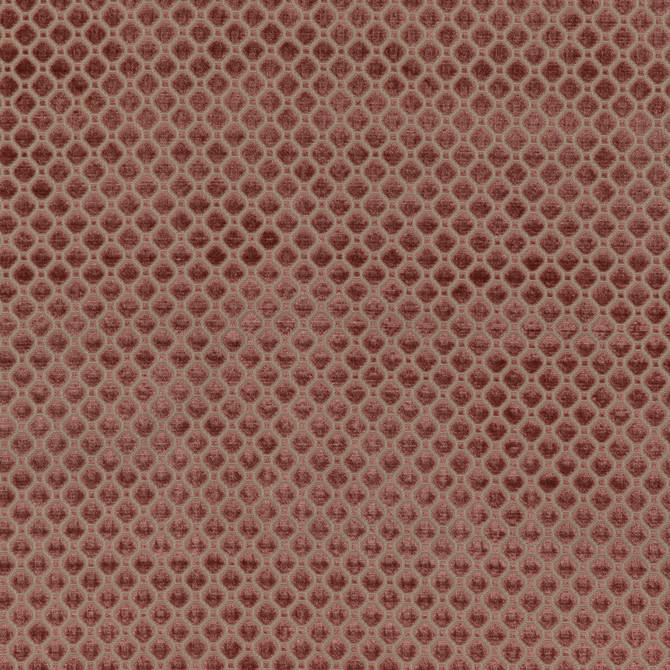Indus Velvet Blush by G P & J Baker Fabric COROMANDEL VELVETS VISCOSE - 100% Belgium HEAVY Horizontal: 1.379 and Vertical: 1.379 53.978 - Fabric Carolina -