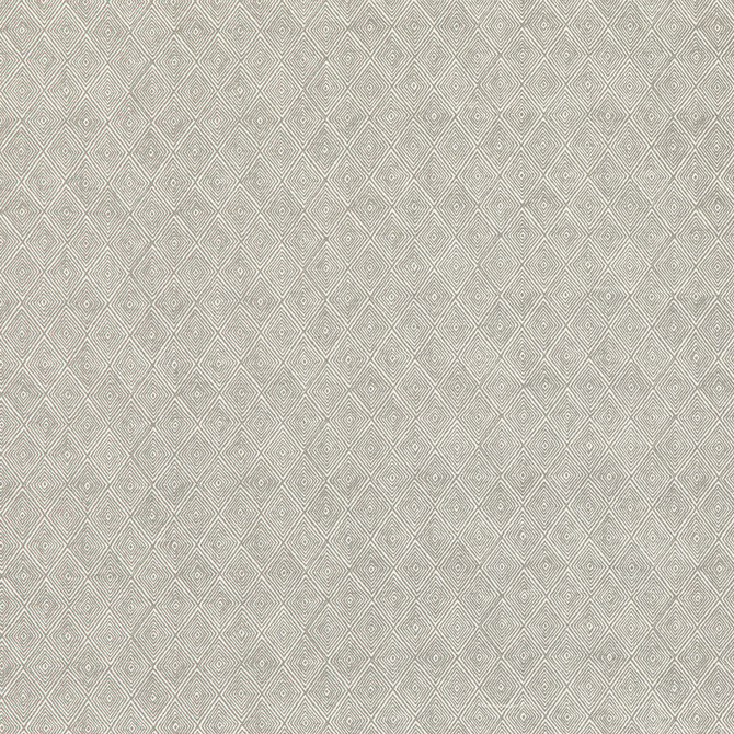 Boundary Dove by Threads Fabric NALA PRINTS COTTON - 60%;LINEN - 40% India - Horizontal: 6.698 and Vertical: 7.092 53.584 - Fabric Carolina -