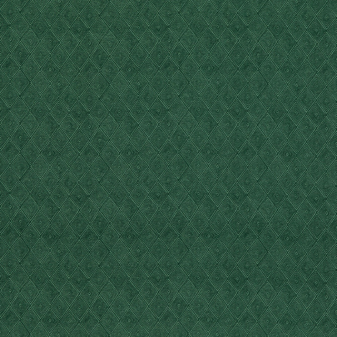 Boundary Emerald by Threads Fabric NALA PRINTS COTTON - 60%;LINEN - 40% India Horizontal: 6.698 and Vertical: 7.092 53.584 - Fabric Carolina -